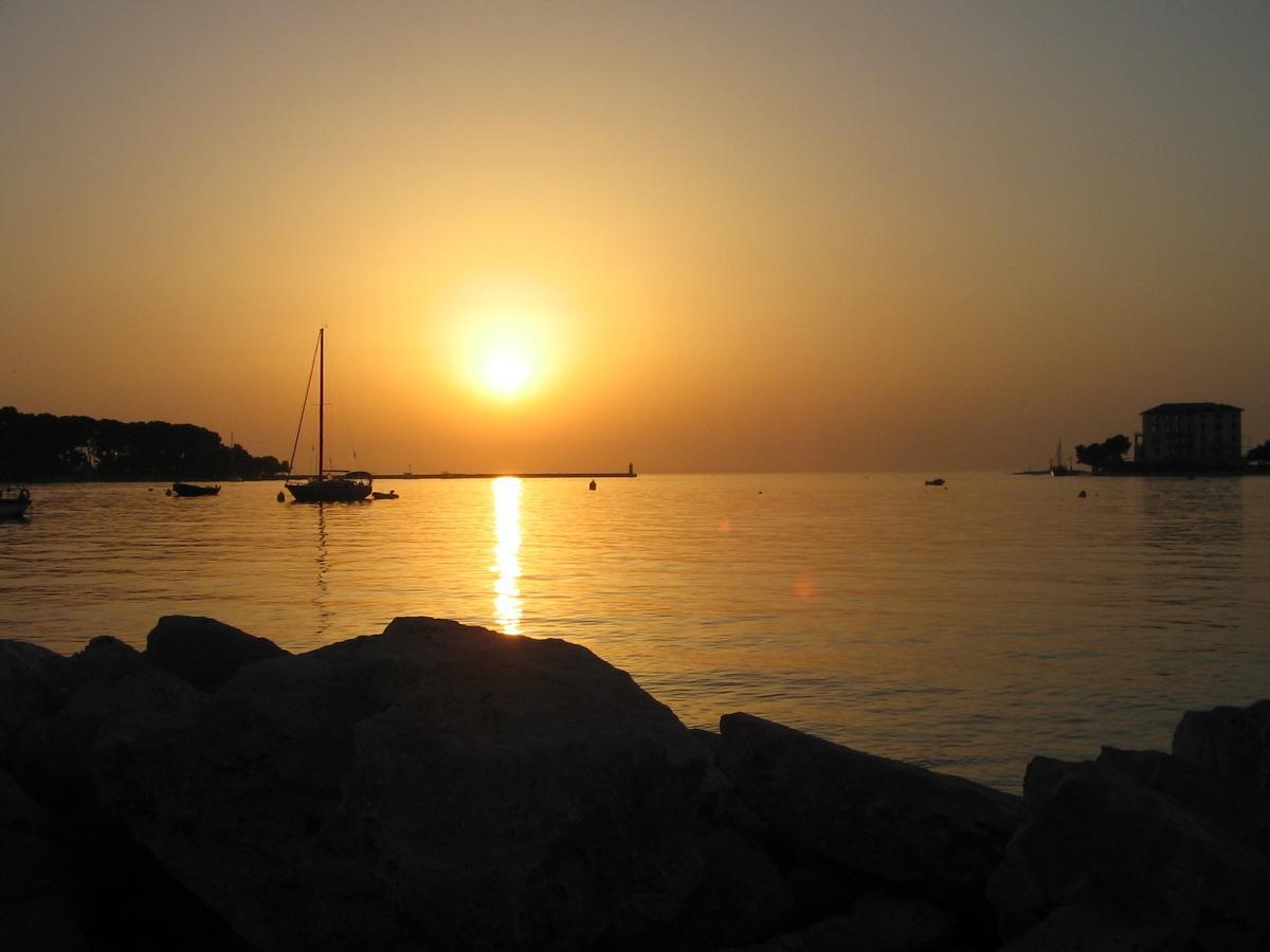 Mip Porec